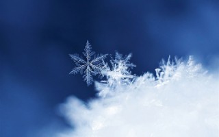 今年下雪为啥不撒融雪剂了 专家回应 ！