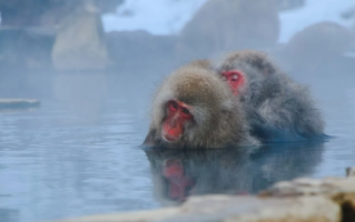 13岁男孩长时间泡澡致脑出血 医生：孩子越小泡澡风险越大 ！