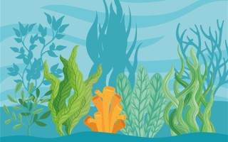 福建一渔民捕获巨型石斑：长1.8米 卖3万多元 !