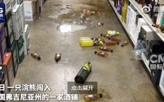 美国一浣熊大闹酒铺 偷喝烈酒后醉倒厕所 超萌姿态逗笑网友 !