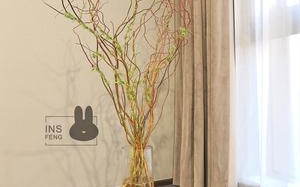 家里养龙柳禁忌（家居养护龙柳应避免的禁忌） !