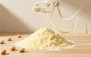 比牛奶营养价值高十倍！驼奶那么神吗 还是智商税 !