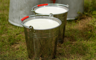 女子网购未杀菌现挤鲜奶直接喝 感染布病：反复发烧咳嗽 !