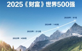 比亚迪迈入全球百强！跃居2025《财富》世界500强第91位 !