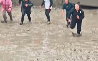 贵州“抓猪大赛”视频爆火 村委会：3头猪都被外地女士抓走了 没抓到的可得100元奖励 ！