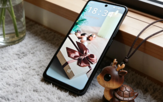 TLCD手机开启众筹：天玑8300+6.95英寸LCD屏 ！