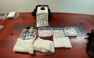 入境旅客把200多枚鹦鹉蛋冲进下水道：均为国家一、二级保护野生动物 !