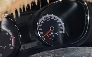 女子洗车后9天未动：再次开门让人惊掉下巴 ！