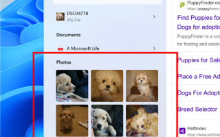 Windows 11搜索迎来全新功能！可搜索图片并显示结果 !