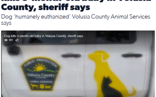 美国5个月男婴独自留在屋里：被自家59公斤巨犬活活咬死 ！