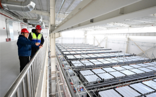 国内最大！银川电网侧铅碳储能电站投运 ！