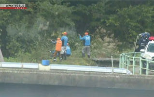 今年已致13人死亡！日本熊灾现场有明显吃人痕迹 ！