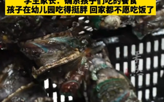 一幼儿园餐食走红 一天20元能吃到鲍鱼、龙虾、海参 园长：成本超出预算 需幼儿园补贴 !