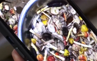 一家9口吃鹅膏菌中毒 医生：致死率非常高 !