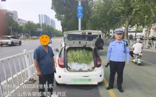 山东“豆橛子”又爆仓了 A00级小汽车塞满豆角 轮胎都压瘪了 !