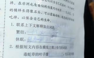 小孩哥作业被热没了崩溃大哭 全怪这种笔 遇高温字迹消失 !