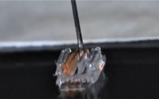 3D打印或能让瘫痪者再次行走：已在动物身上验证 !