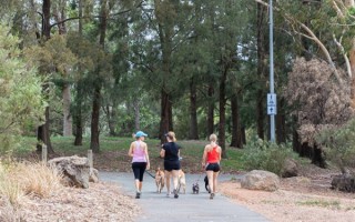 狗权至上！澳大利亚堪培拉立法：狗主人必须每天陪伴狗3个小时 ！