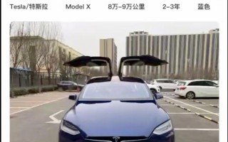 男子花46万“捡漏”精品特斯拉二手车 结果发现是全损车获赔138万元 ！