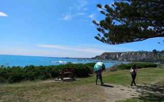 自由行和跟团游有什么区别（自由行与跟团游的异同） ！