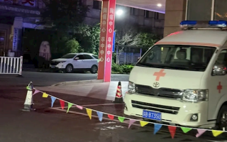 江苏一女子半夜上厕所 马桶里窜出一条蛇顶到屁股 !