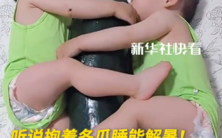 中医推荐夏日降暑奇招：抱冬瓜睡觉！含水量高达96% 洗净不削皮 ！