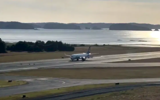 离奇事故！波音737客机跑道降落时 撞死几只鹿 !