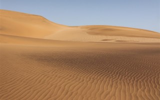 甘肃敦煌上演“堵骆驼” 网友：告诉王维 西出阳关全是人 !