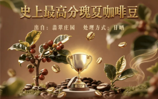 每杯成本就5000元 全球最贵之一咖啡豆运抵国内 几乎免费送 !