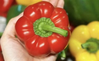 女子跟风女星生吃彩椒碗：结果感染钩虫 !