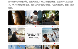 小米17 Pro系列实拍样张首次公布 雷军：逆光之王！ 