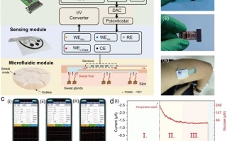 中科院研发可穿戴汗液监测系统：手机APP实时监测疾病 ！
