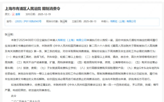 败诉被判赔17万元！车顶维权女车主回应被特斯拉申请限高 !