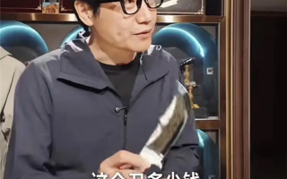雷军被8000元小刀价格惊到了：没舍得买？