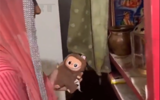 印度女子误将Labubu当神明供奉 网友调侃：Labubu正式封神了！ 