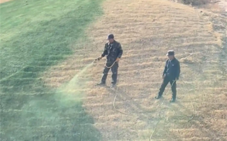 陕西一地给枯草喷颜料 当地回应：为美观调配的营养液 ！