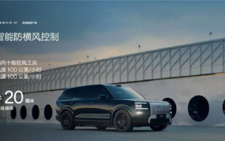 极氪9X全球首发智能防横风控制：10级大风依旧稳如泰山 ！
