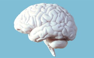 研究发现大脑“断崖式衰老”的3个年龄：57岁、70岁和78岁 !