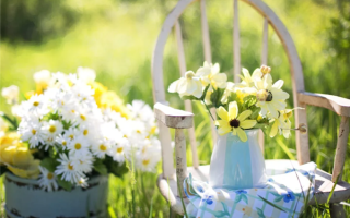 世界首台！自动巡航杂交授粉育种机器人“吉儿”诞生 !