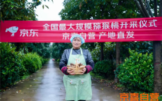 京东京喜自营：一年新增1.5亿用户 交易额暴涨10倍 !