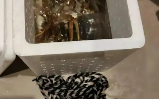 5两的大闸蟹捆了1两的绳子 ！网友：卖蟹还是卖绳？