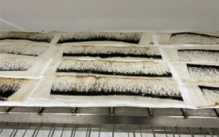 巴西全球最大“蚊子工厂”准备投产：抗击登革热 全球供应 !