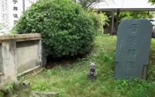 浙江一酒店内现千年古墓 店方：是文物 不会吓到人 !