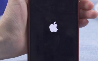 苹果11反复亮标不开机（苹果11一直显示苹果标志开不了机） ！