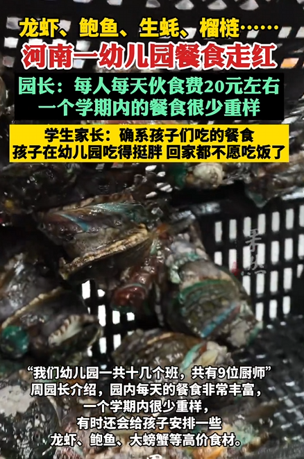 一幼儿园餐食走红 一天20元能吃到鲍鱼、龙虾、海参 园长：成本超出预算 需幼儿园补贴 !-第1张图片-乍过网